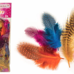 Piórka pióra lotki ozdobne dekoracyjne nakrapiane