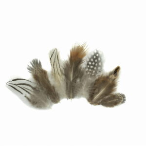 Piórka pióra lotki ozdobne dekoracyjne nakrapiane