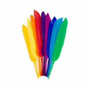 Piórka pióra lotki ozdobne dekoracyjne kolorowe