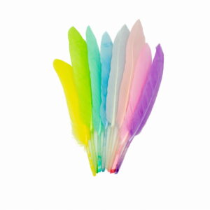 Piórka pióra lotki ozdobne dekoracyjne kolorowe