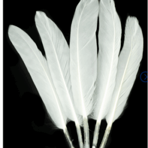 Piórka pióra ozdobne dekoracyjne lotki białe biel