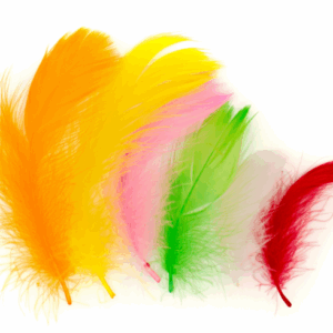 Piórka pióra mix ozdobne dekoracyjne lotki kolor