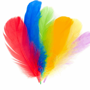 Piórka pióra mix ozdobne dekoracyjne lotki kolor