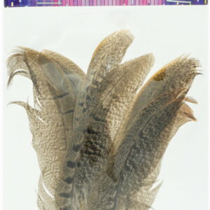 Piórka pióra lotki ozdobne dekoracyjne nakrapiane