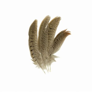 Piórka pióra lotki ozdobne dekoracyjne nakrapiane