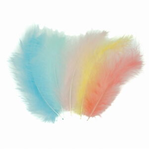 Piórka jasne mix 50szt.