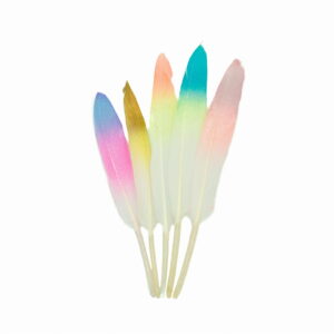 Piórka ombre kolorowe mix 10szt.