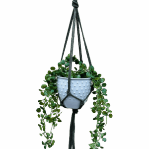 Kwietnik wiszący makrama ze sznurka boho KHAKI