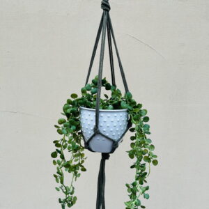 Kwietnik wiszący makrama ze sznurka boho KHAKI