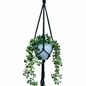 Kwietnik wiszący makrama ze sznurka boho BUTELKA