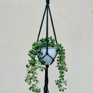 Kwietnik wiszący makrama ze sznurka boho BUTELKA