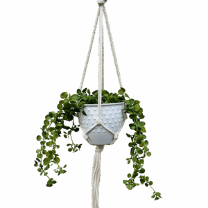 Kwietnik wiszący makrama ze sznurka boho ZŁOTA