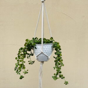 Kwietnik wiszący makrama ze sznurka boho ZŁOTA