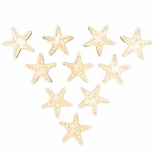 Scrapki drewniane rozgwiazda rozgwiazdy deko 10szt