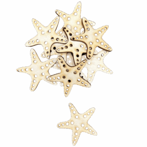 Scrapki drewniane rozgwiazda rozgwiazdy deko 10szt