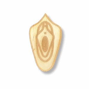 Prezent na wieczór kawalerski ze sklejki drewnianej wagina scrapki dekor