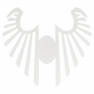 Skrzydełka skrzydła anielskie BIAŁE anioł do anioła baza decoupage