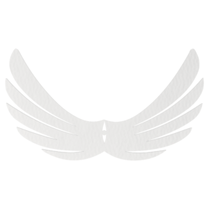 Skrzydełka skrzydła anielskie BIAŁE anioł do anioła baza decoupage