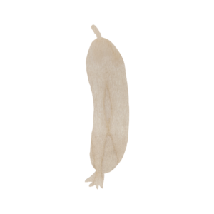 Ogórek 15 cm kształtka warywa