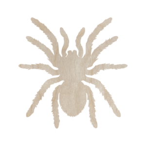 Drewniany pająk PTASZNIK włochaty TARANTULA  15 cm kształtka owady pajęczaki do dekorowania