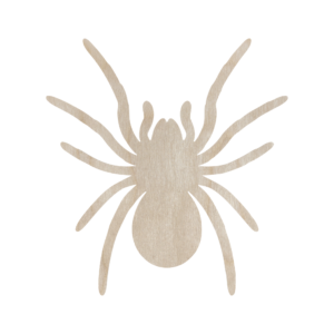 Drewniany pająk PTASZNIK TARANTULA  15 cm kształtka owady pajęczaki do dekorowania