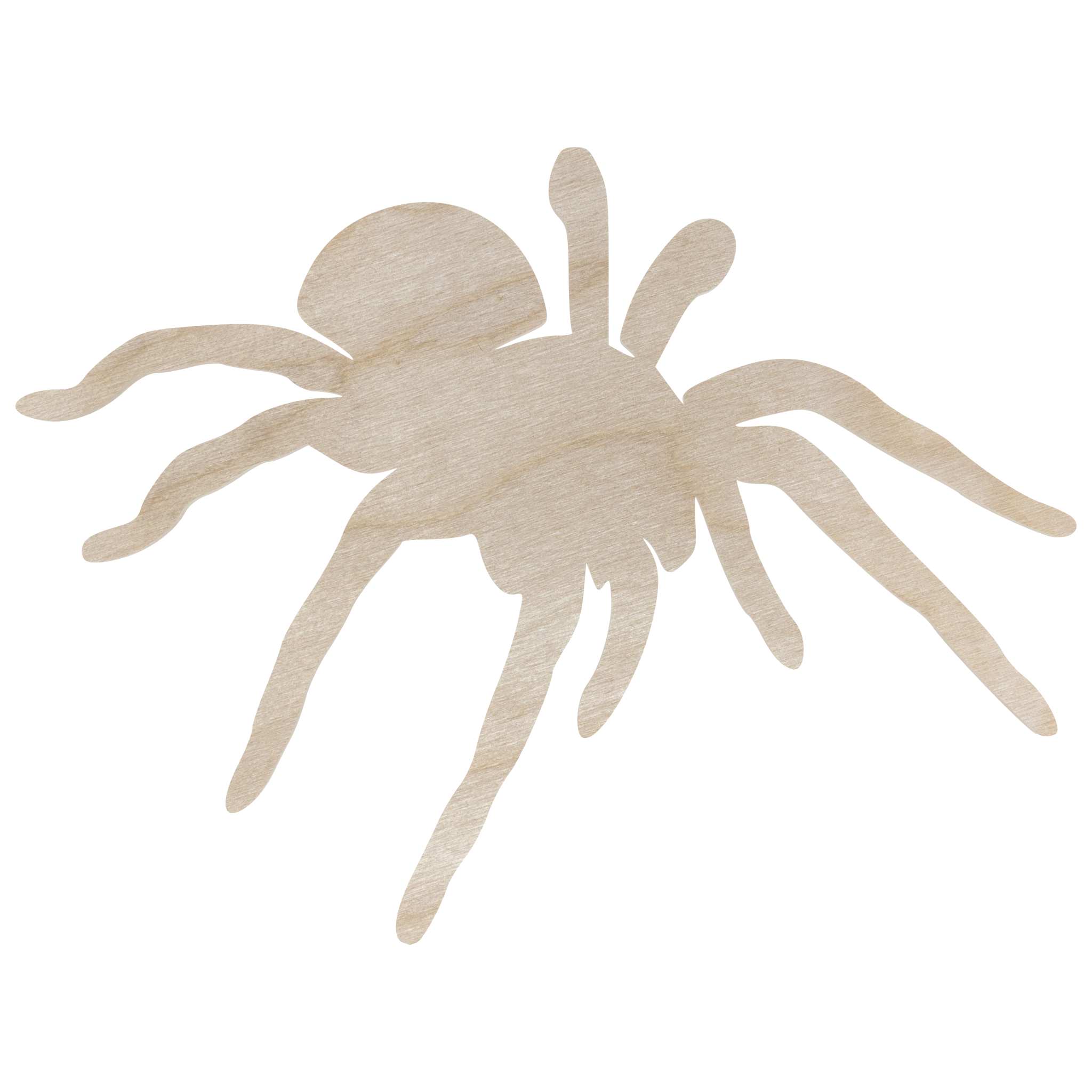 Drewniany pająk PTASZNIK TARANTULA 15 cm kształtka owady pajęczaki do dekorowania 1 Zakręcone Sznurki Drewniany pająk PTASZNIK TARANTULA 15 cm kształtka owady pajęczaki do dekorowania